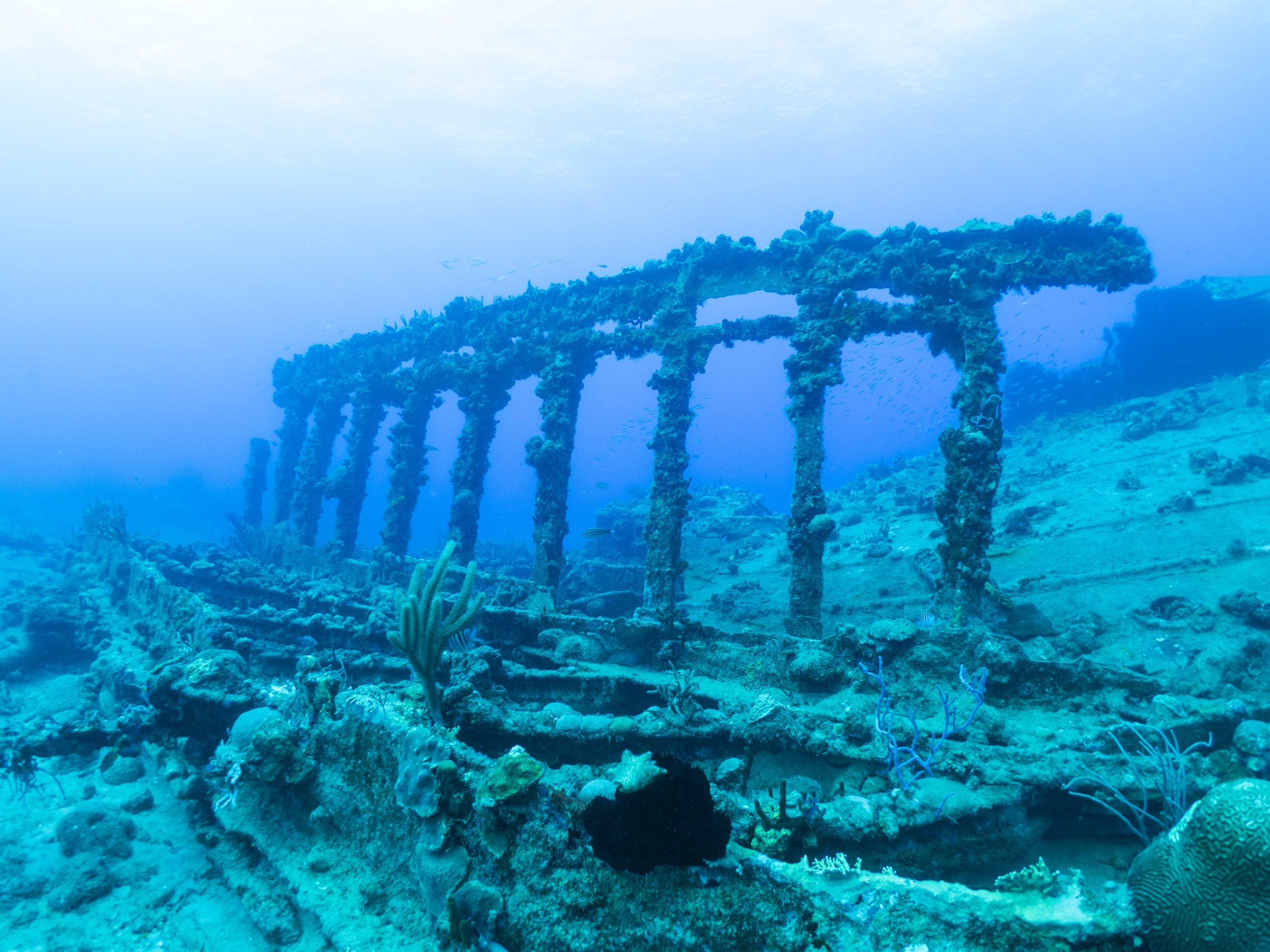 Divers exploring together underwater