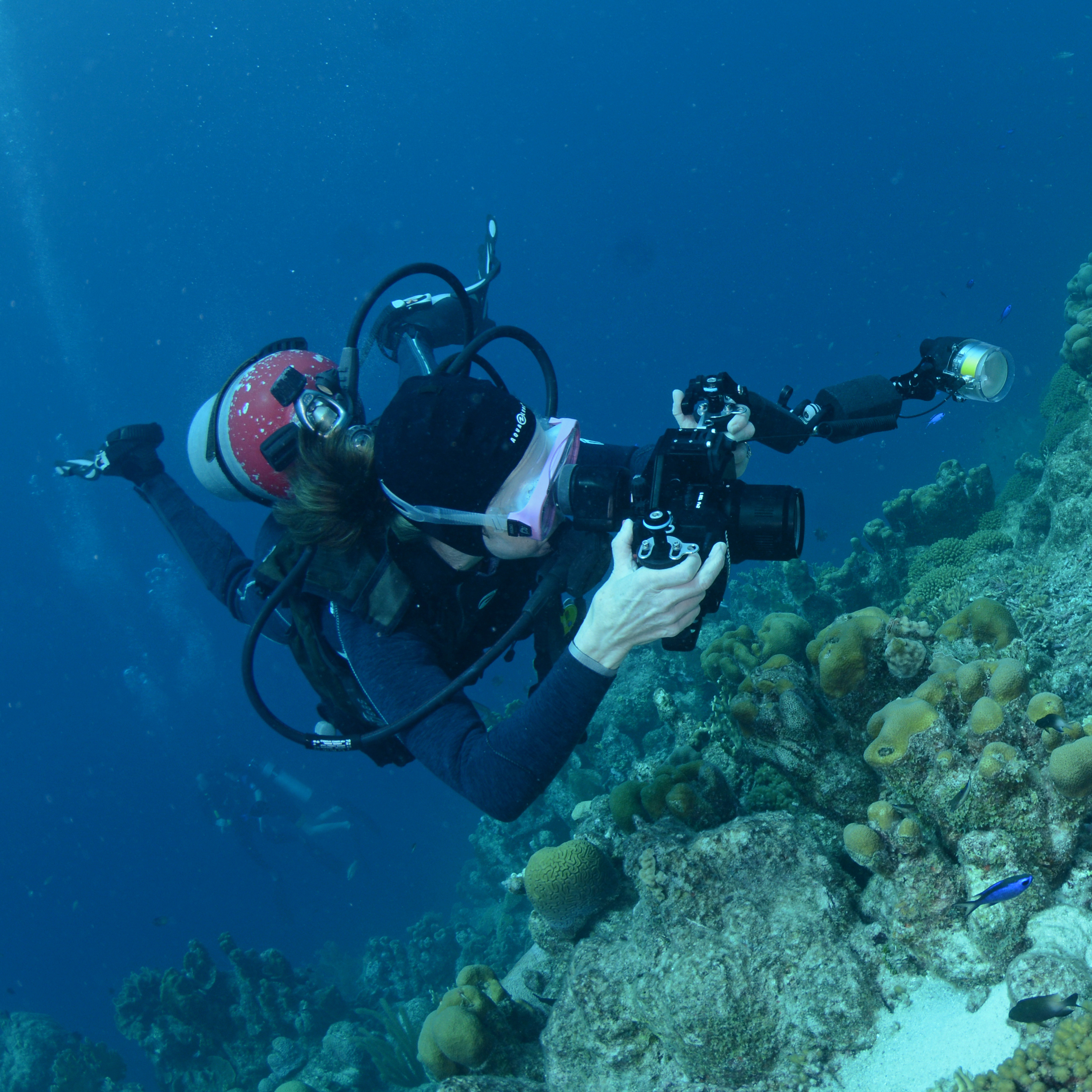 Linda Sonne-Harrison photographing a coral reef underwater