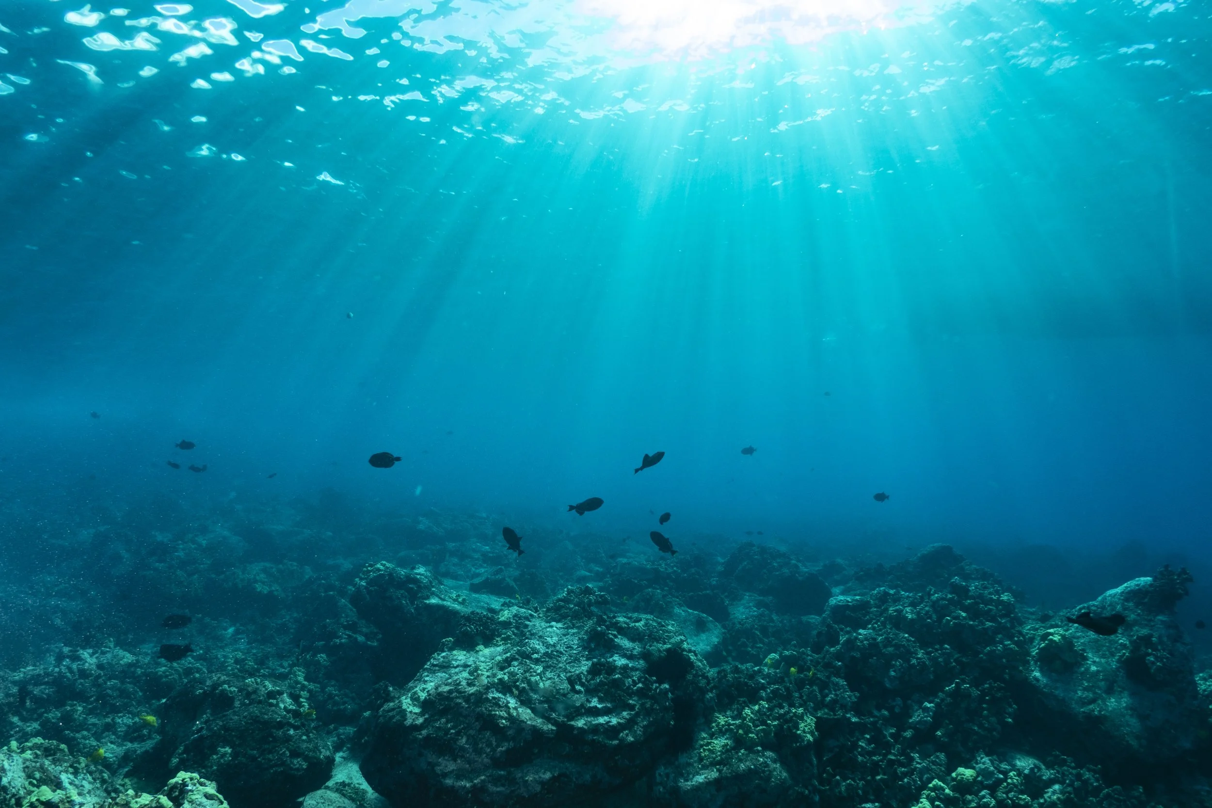 Sun rays streaming through clear water onto a coral reef