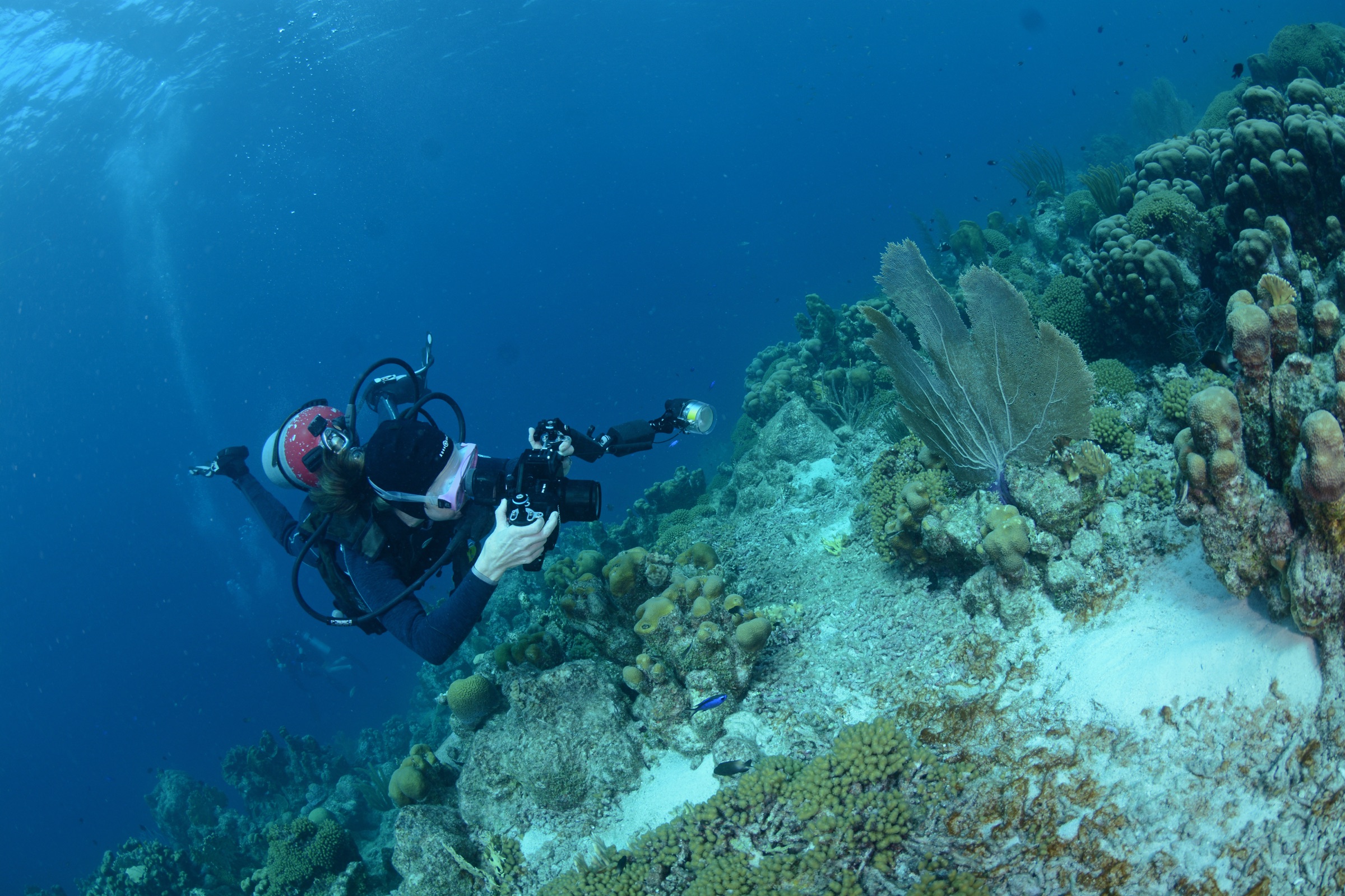 Underwater photographer at a coral reef