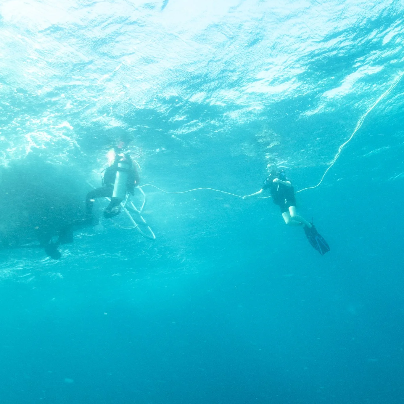 Divers working together beneath the ocean surface